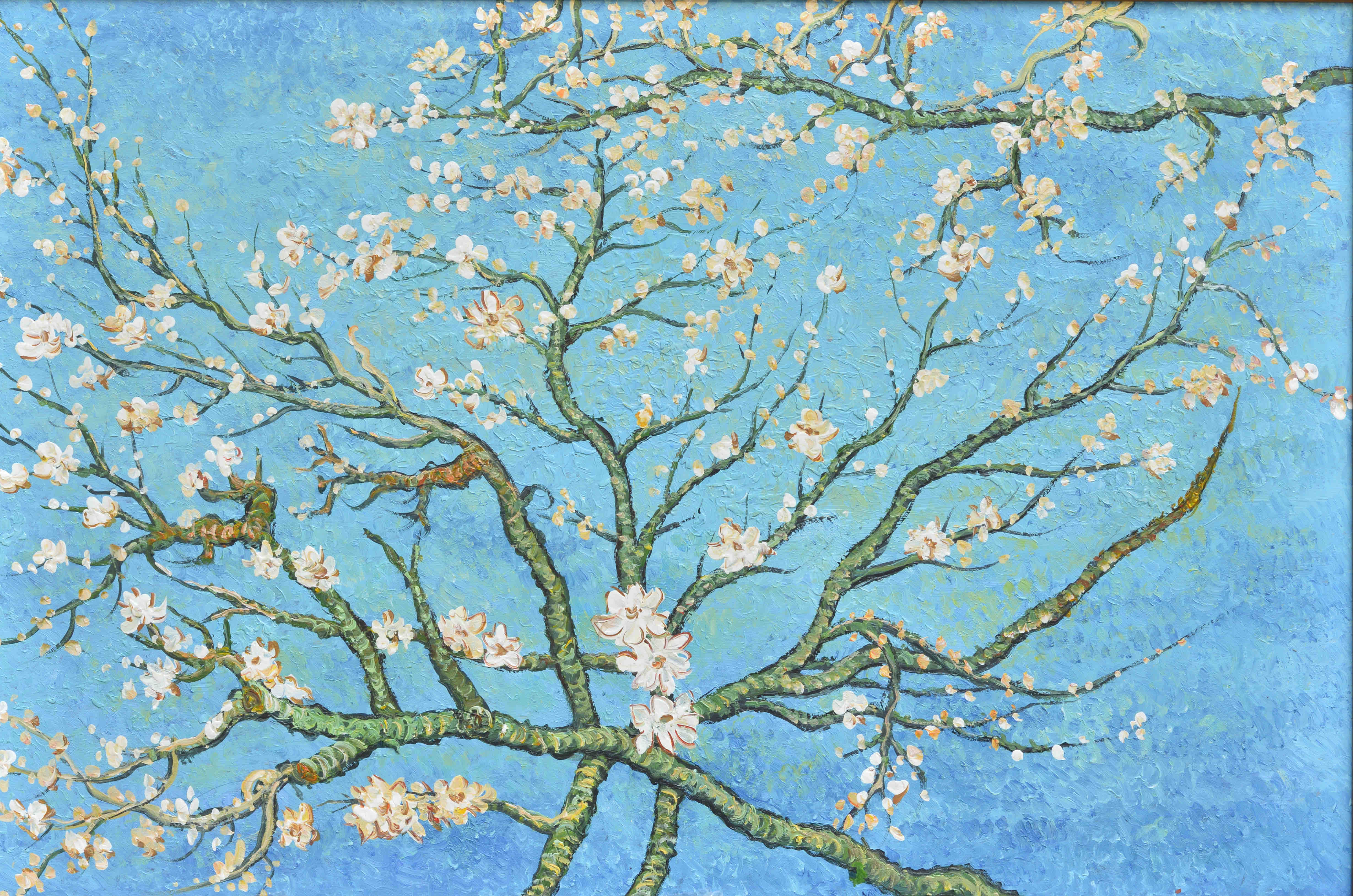 100% Handmade Oil Painting - Blossoming Almond Tree