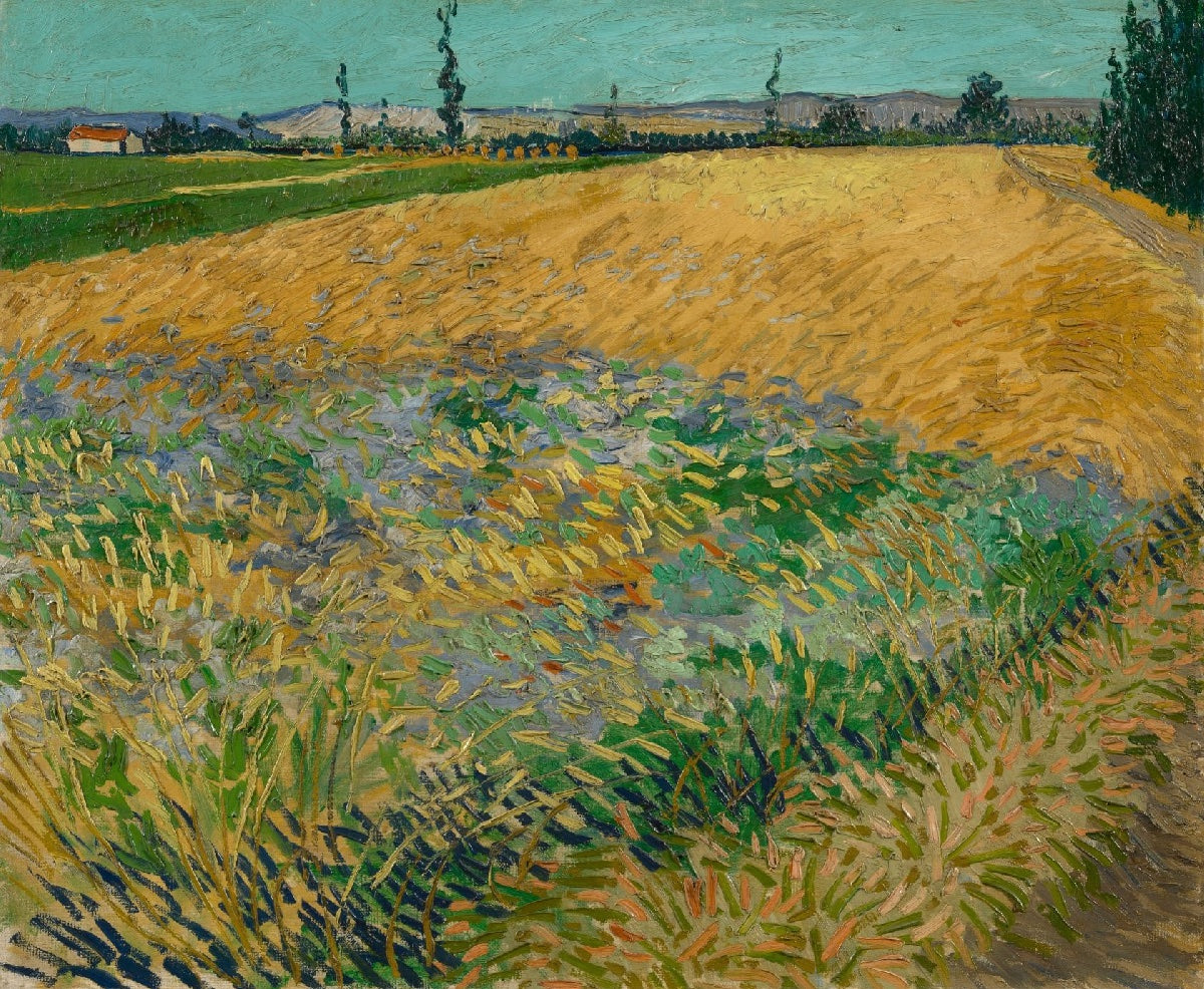 100% Handmade Oil Painting - Golden Wheat Field